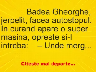 Banc: 
                    Badea Gheorghe, jerpelit, facea autostopul. 


In…