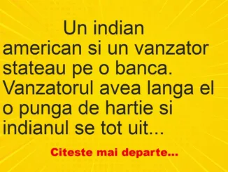 Banc: 
                    Un indian american si un vanzator stateau pe o banca….