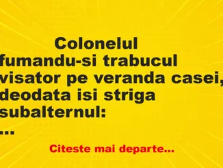 Banc: 
                    Colonelul fumandu-si trabucul visator pe veranda casei,…