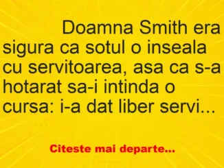 Banc: 
                    Doamna Smith era sigura ca sotul o inseala cu servitoarea, …