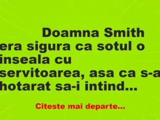 Banc: 
                    Doamna Smith era sigura ca sotul o inseala cu servitoarea, …