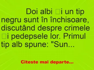 Banc: 
                    Doi albi și un tip negru sunt în închisoare, discutând…