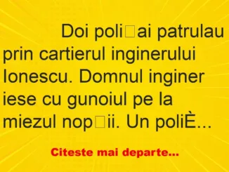 Banc: 
                    Doi polițai patrulau prin cartierul inginerului Ionescu….