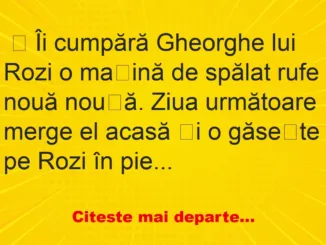 Banc: Îi cumpără Gheorghe lui Rozi o mașină de spălat rufe – …