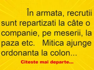 Banc: 
                    În armata, recrutii sunt repartizati la câte o companie, pe…