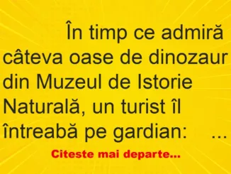 Banc: 
                    În timp ce admiră câteva oase de dinozaur din Muzeul de…