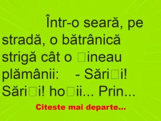 Banc: 
                    Într-o seară, pe stradă, o bătrânică strigă cât o țineau…