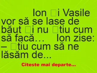 Banc: 
                    Ion și Vasile vor să se lase de băut și nu știu cum să…