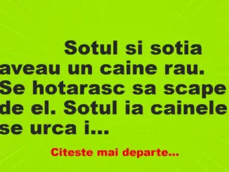 Banc: 
                    Sotul si sotia aveau un caine rau. Se hotarasc sa scape de …