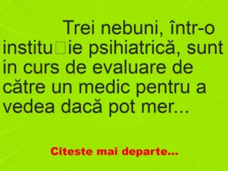 Banc: 
                    Trei nebuni, într-o instituție psihiatrică, sunt in curs de…