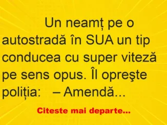 Banc: 
                    Un neamţ pe o autostradă în SUA un tip conducea cu super…