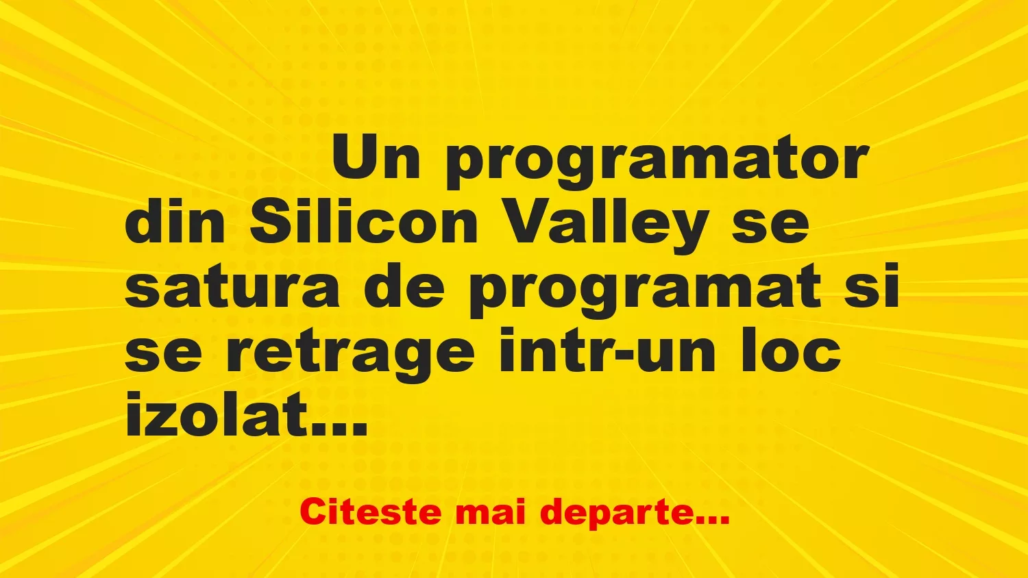 Banc: 
                    Un programator din Silicon Valley se satura de programat si…