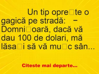 Banc: 
                    Un tip oprește o gagică pe stradă:


− Domnișoară,…