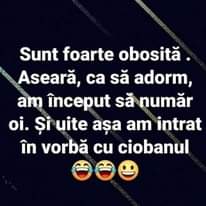 Lehet, hogy egy kép erről: , szöveg, amely így szól: „Sunt foarte obosită. Aseară, ca să adorm, am început să număr oi. Și uite așa am intrat în vorbă cu ciobanul”