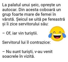 Lehet, hogy egy kép erről: , szöveg, amely így szól: „La palatul unui Èeic, oprește un autocar. Din acesta coboară un grup foarte mare de femei în vârstă. Șeicul se uită pe fereastră și îi zice servitorului său: -Of, iar vin turiștii. Servitorul lui îl contrazice: -Nu sunt turiști, v-au venit soacrele în vizită.”