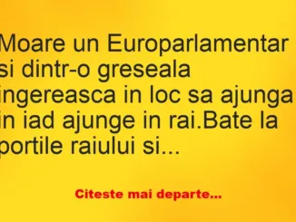 Banc: Cum este amăgită lumea în campaniile electorale…