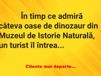 Banc: 
                    În timp ce admiră câteva oase de dinozaur din…