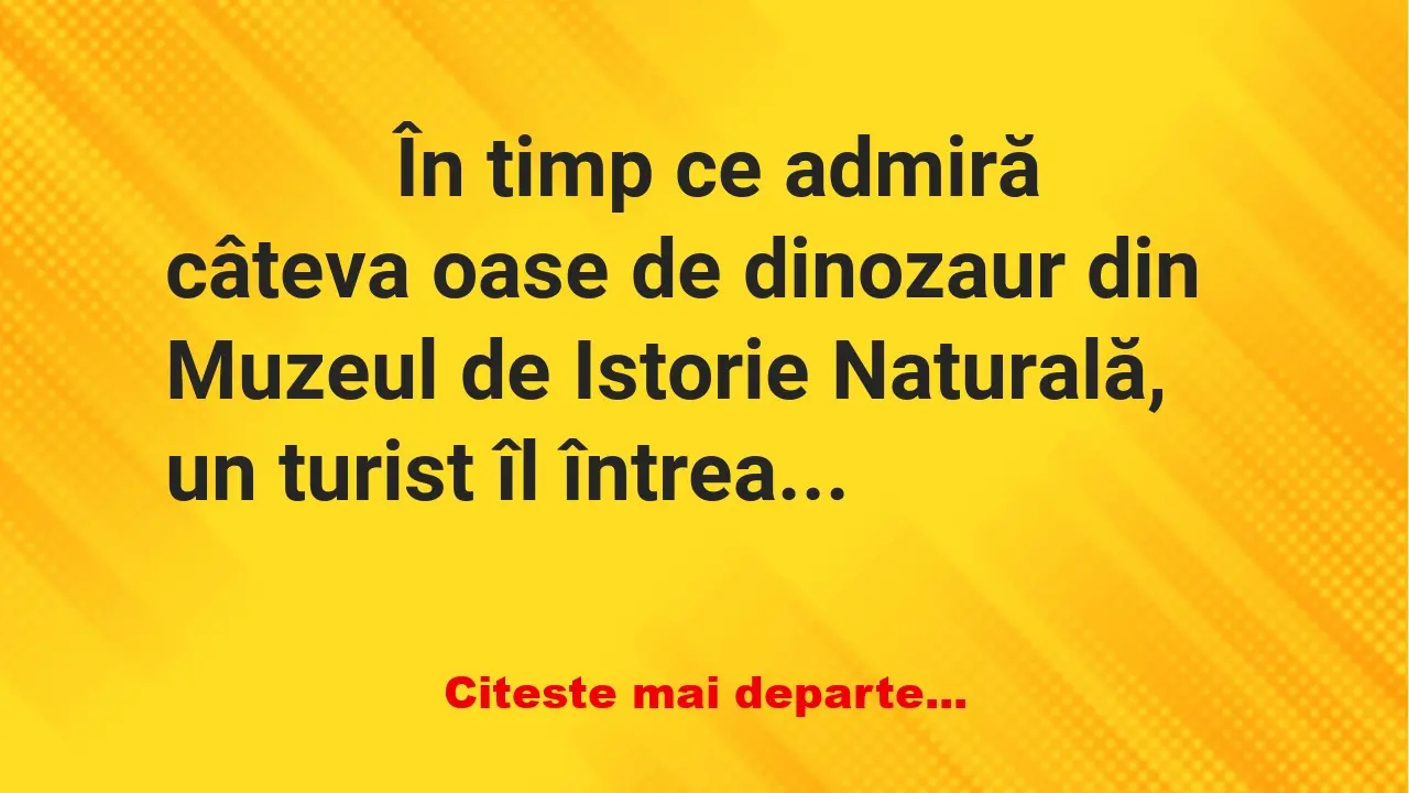 Banc: 
                    În timp ce admiră câteva oase de dinozaur din…