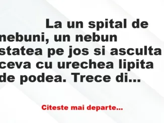 Banc: 
                    La un spital de nebuni, un nebun statea pe jos si asculta…