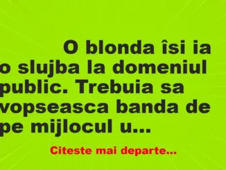 Banc: 
                    O blonda îsi ia o slujba la domeniul public. Trebuia sa…