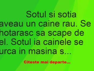 Banc: 
                    Sotul si sotia aveau un caine rau. Se hotarasc sa scape de …