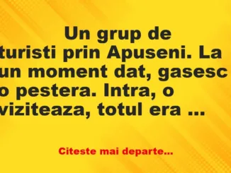 Banc: 
                    Un grup de turisti prin Apuseni. La un moment dat, gasesc o…