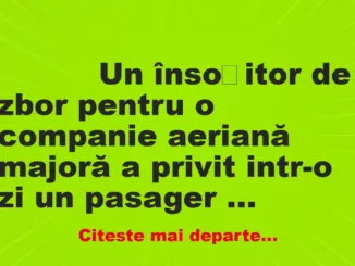 Banc: 
                    Un însoțitor de zbor pentru o companie aeriană majoră a…