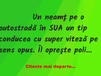 Banc: 
                    Un neamţ pe o autostradă în SUA un tip conducea…