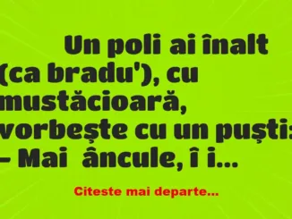 Banc: 
                    Un poliţai înalt (ca bradu’), cu mustăcioară,…