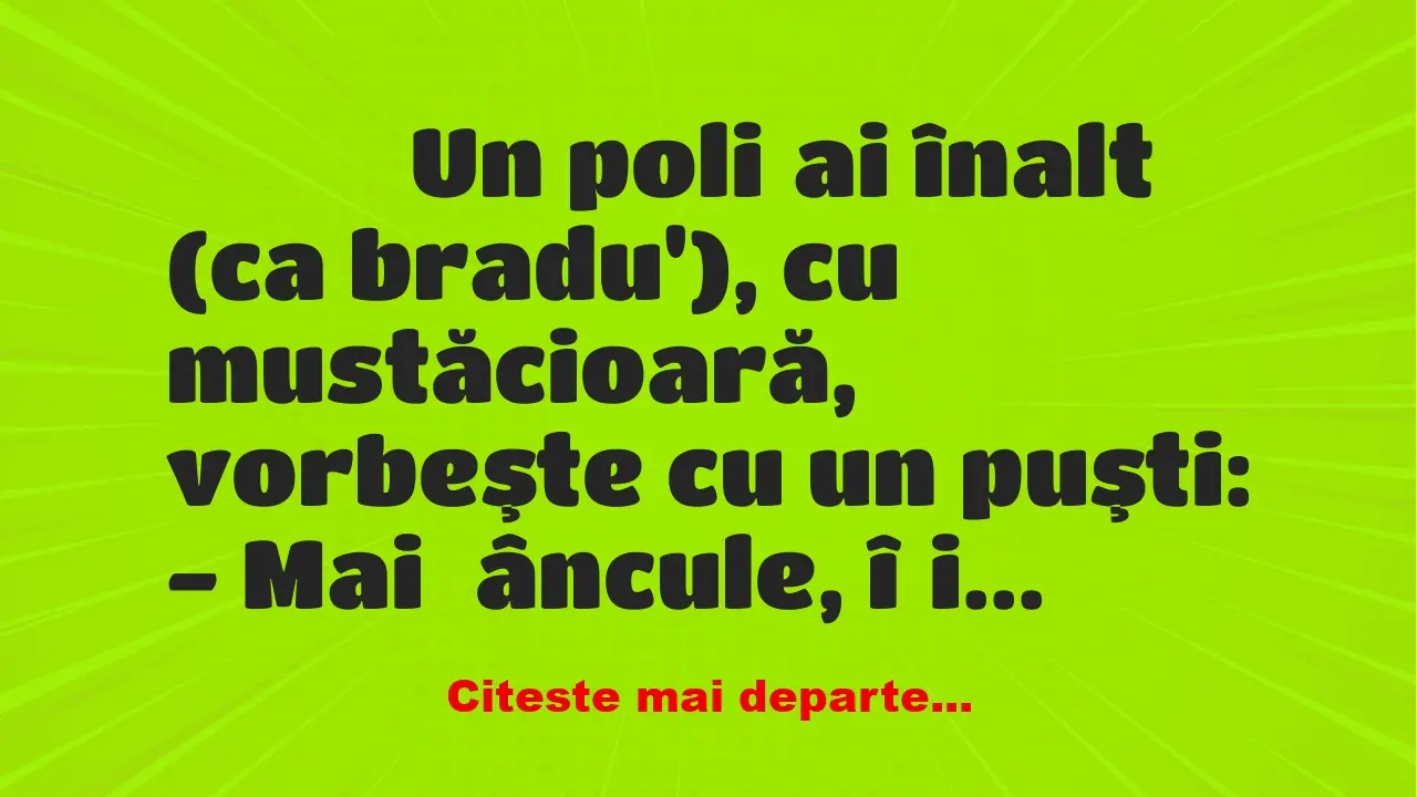 Banc: 
                    Un poliţai înalt (ca bradu’), cu mustăcioară,…