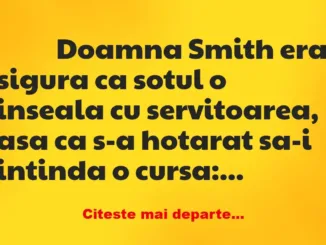 Banc: 
                    Doamna Smith era sigura ca sotul o inseala cu…