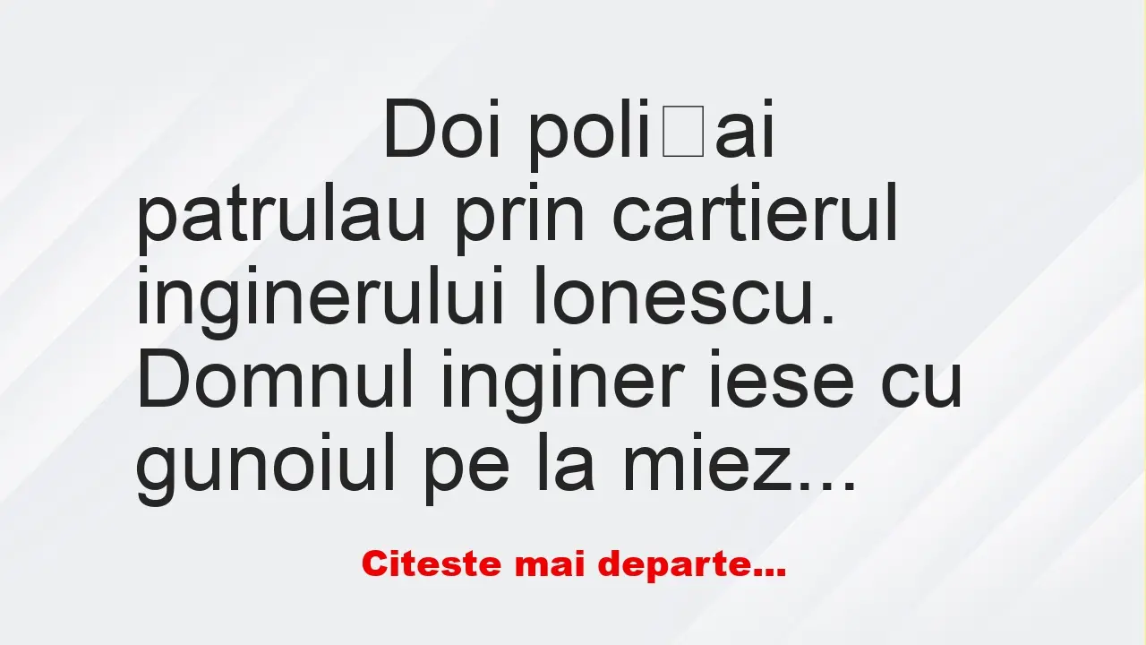 Banc: 
                    Doi polițai patrulau prin cartierul inginerului…