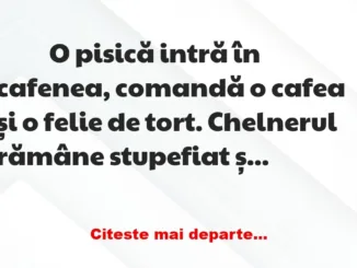 Banc: 
                    O pisică intră în cafenea, comandă o cafea și o…