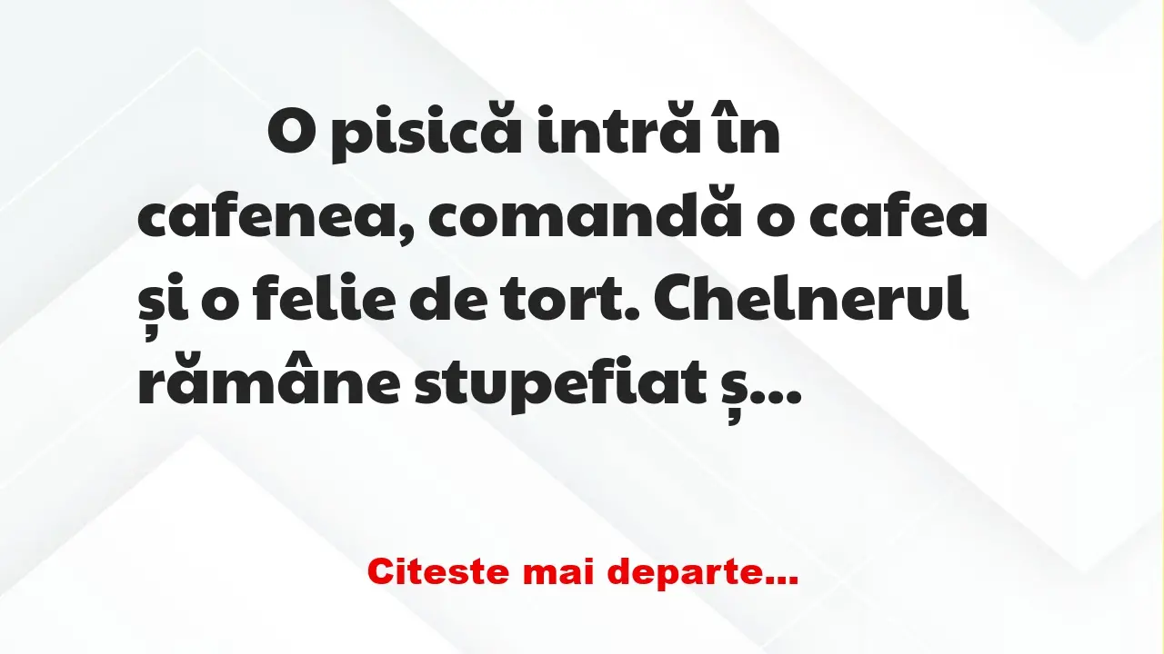 Banc: 
                    O pisică intră în cafenea, comandă o cafea și o…