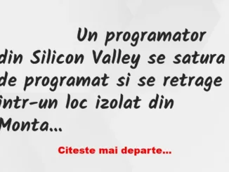 Banc: 
                    Un programator din Silicon Valley se satura de…