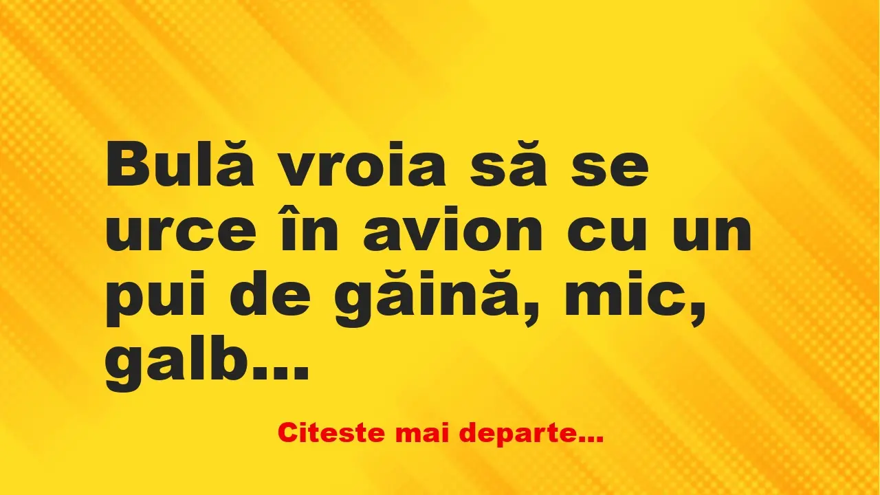 Banc: Bulă vroia să se urce în avion cu un pui de găină, mic, galben şi…