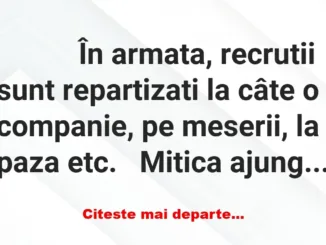 Banc: 
                    În armata, recrutii sunt repartizati la câte o…