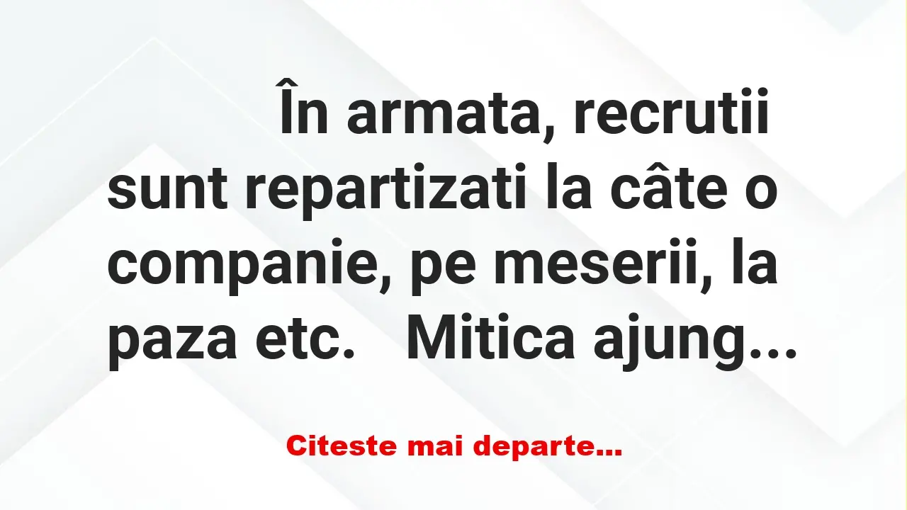 Banc: 
                    În armata, recrutii sunt repartizati la câte o…