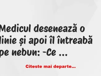 Banc: Medicul desenează o linie și apoi îl întreabă pe nebun: -Ce vă…