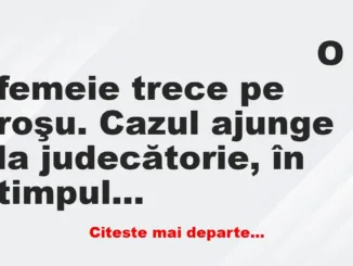 Banc: O femeie trece pe roşu. Cazul ajunge la judecătorie și…