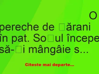 Banc: O pereche de țărani în pat. Soțul începe să-și mângâie soția..