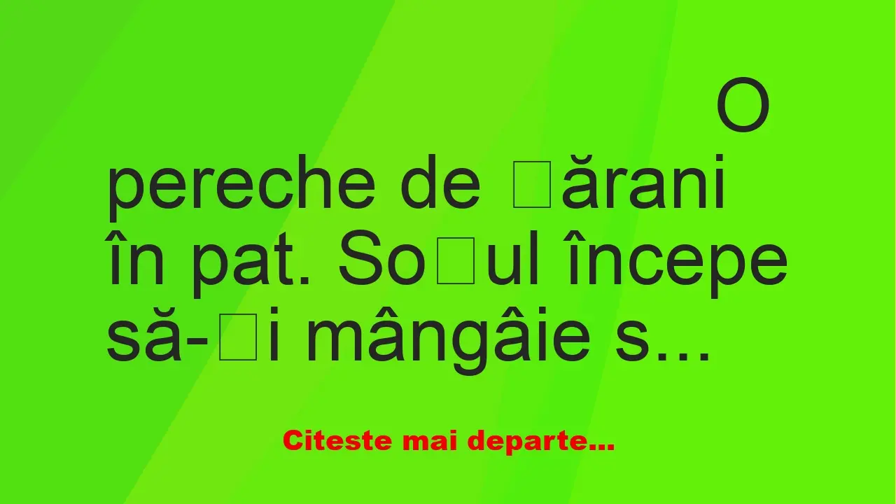 Banc: O pereche de țărani în pat. Soțul începe să-și mângâie soția..