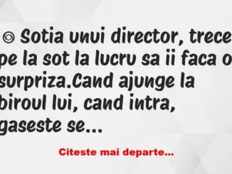 Banc: Sotia unui director, trece pe la sot la lucru sa ii faca o surpriza. -…