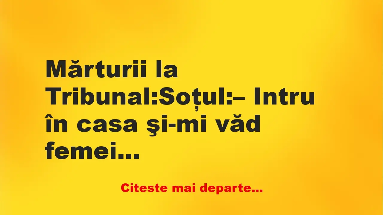 Banc: Soţul: – Intru în casa şi-mi văd femeia în pielea goală pe pat, geamul…