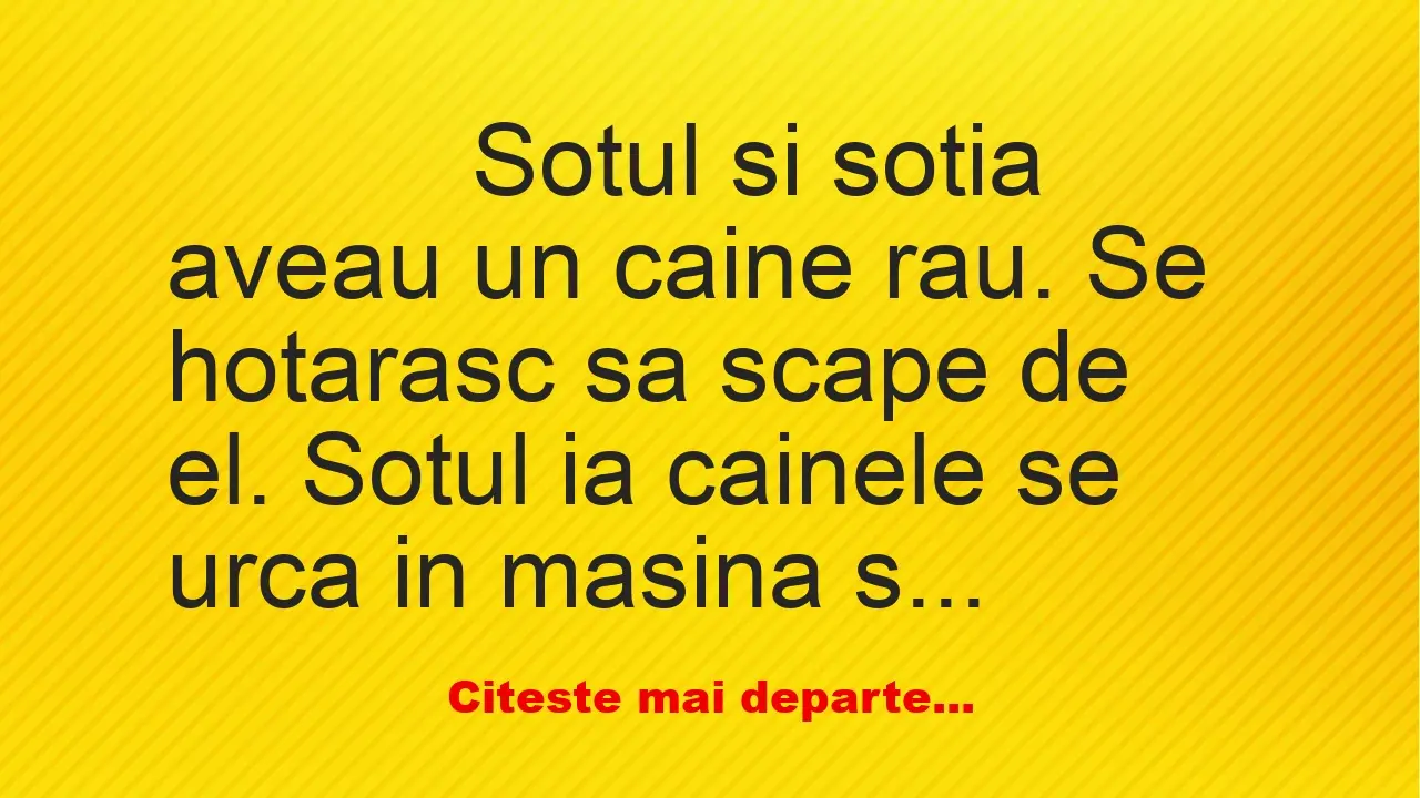 Banc: 
                    Sotul si sotia aveau un caine rau. Se hotarasc sa…