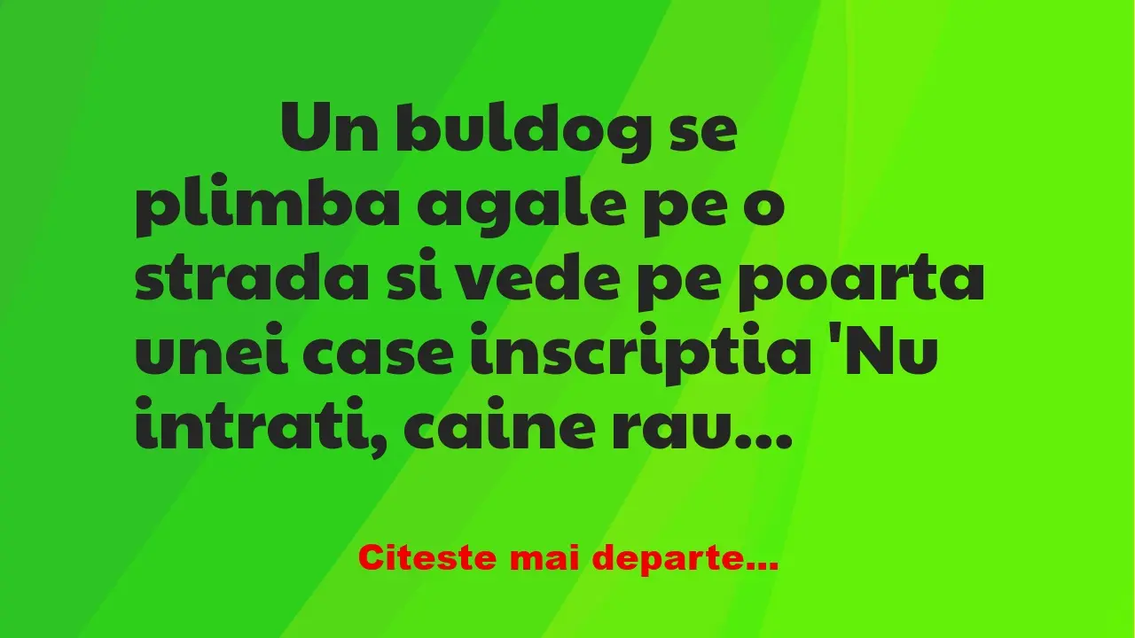 Banc: 
                    Un buldog se plimba agale pe o strada si vede pe …