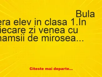 Banc: Clasa 1. Bulă vine cu pește la școală. Învățătoarea se plânge