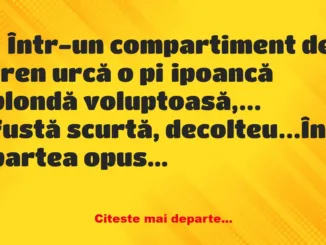 Banc: Într-un compartiment de tren urcă o piţipoancă blondă – Dracusorul…