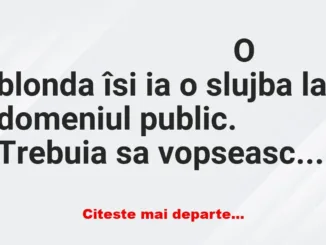 Banc: O blondă e în perioada de probă. Șeful o supraveghează..