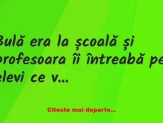Banc: Bulă era la școală și profesoara îi întreabă pe elevi ce vor să devină…
